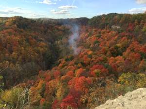fall colours in dundas